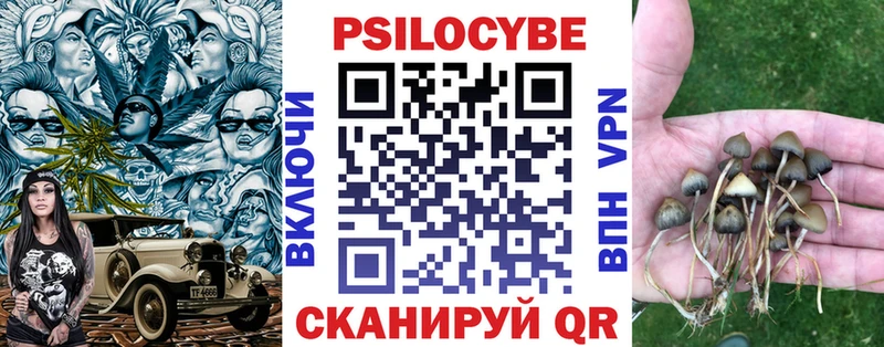 Галлюциногенные грибы Cubensis  что такое наркотик  Кукмор 