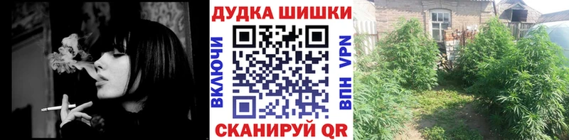 Конопля планчик  Кукмор 